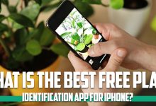 What is the best free plant identification app for iPhone 2022?
