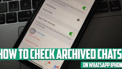 How to Check Archived Chats on WhatsApp iPhone