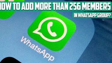 How to add more than 256 members in WhatsApp group?
